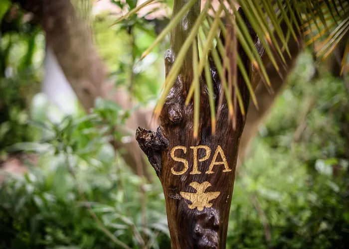 Resort Cala Luna Boutique &