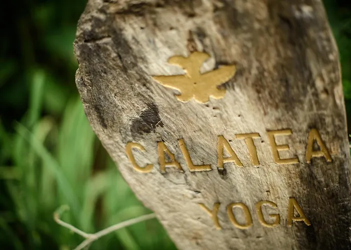 Cala Luna Boutique & 4* Tamarindo